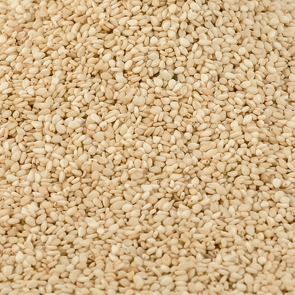 White Sesame - Image 2