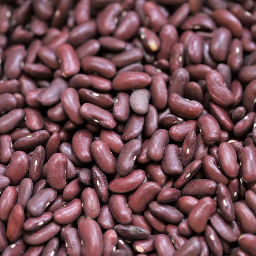 Red-Kidney Bean