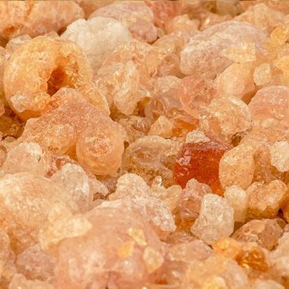 Gum Arabic Talha