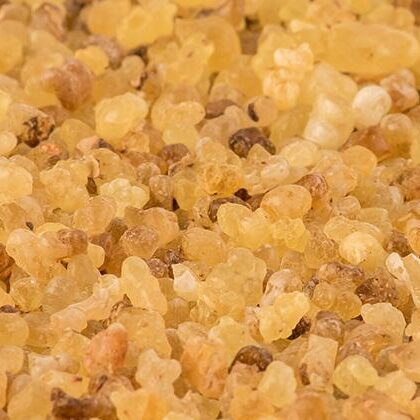 Gum Olibanum