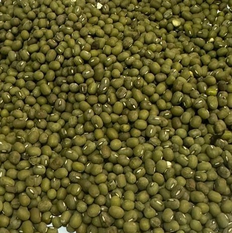 Green Mung Beans