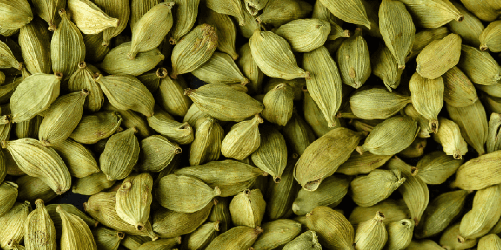 Cardamom