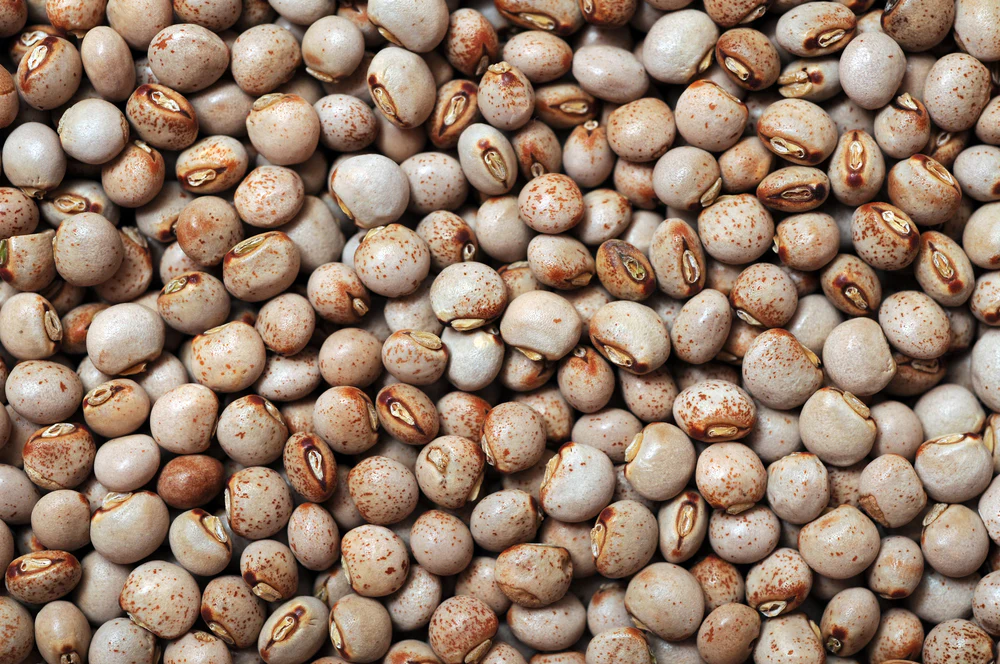 Pigeon Peas